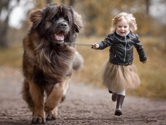 Мифы о настоящей дружбе малышей и собак
