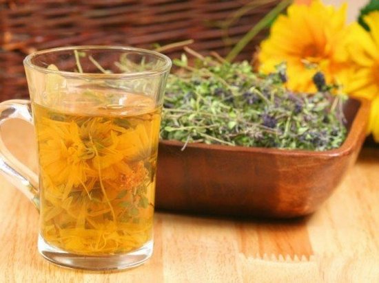 Чаи для желудка — целебные травяные сборы