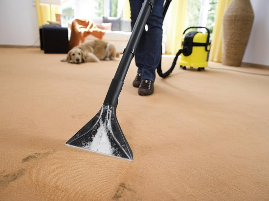 Химчистка ковров на дому