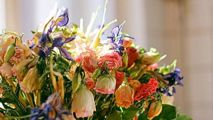 Секреты флористики: значение цветов в букете Много столетий