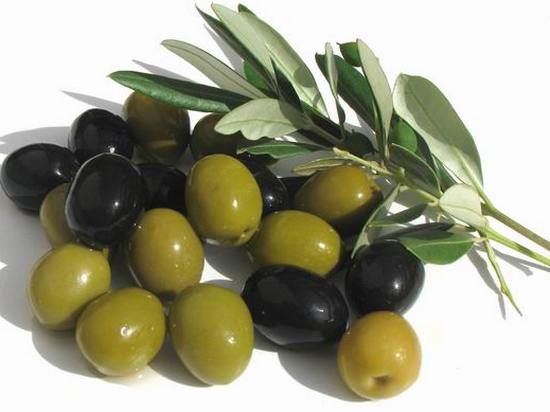 Чем отличаются оливки от маслин?