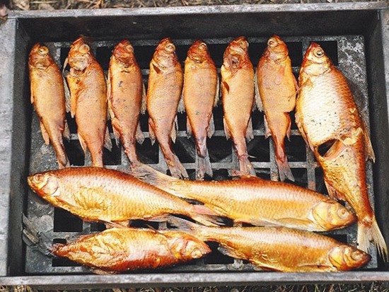 Как коптить рыбу в коптильне горячего копчения?