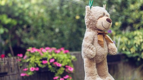 Как почистить мягкие игрушки без химии: 3 секрета заботливой мамы