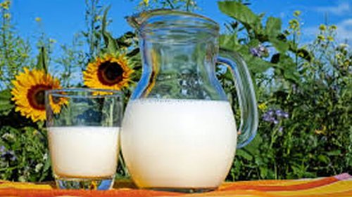 Не усваивается и вымывает кальций: мифы о молоке