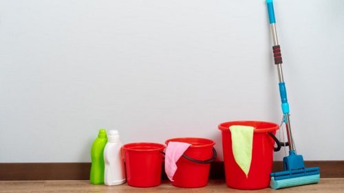 Губки, тряпки и ёршики для унитаза: помыть или выбросить?