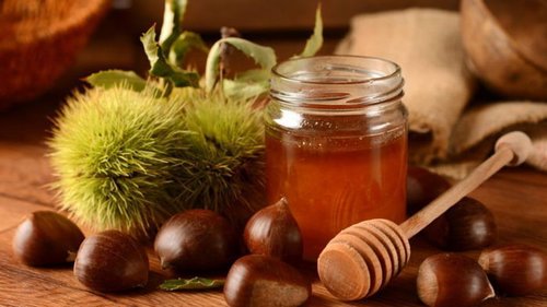 Каштановый мед и его полезные свойства