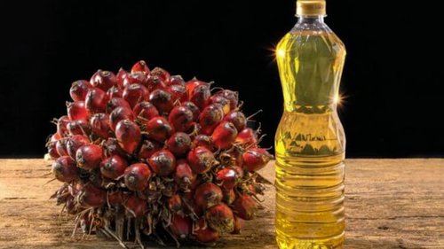 Удар по сосудам и сердцу: чем еще вредно пальмовое масло