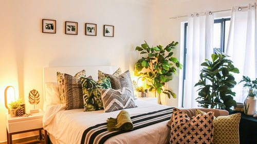 Поставьте их в спальне: три комнатных растения, которые укрепят ваше здоровье