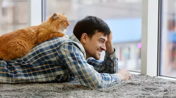 Почему кот «прилип» к хозяину: эксперты назвали неожиданные причины