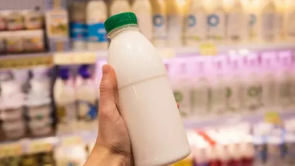 Что произойдет с человеком, если он будет пить молоко каждый день