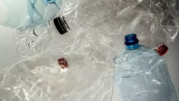 Зачем расставлять на грядках пластиковые бутылки с водой: интерес...
