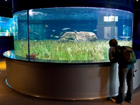 Уход за аквариумом