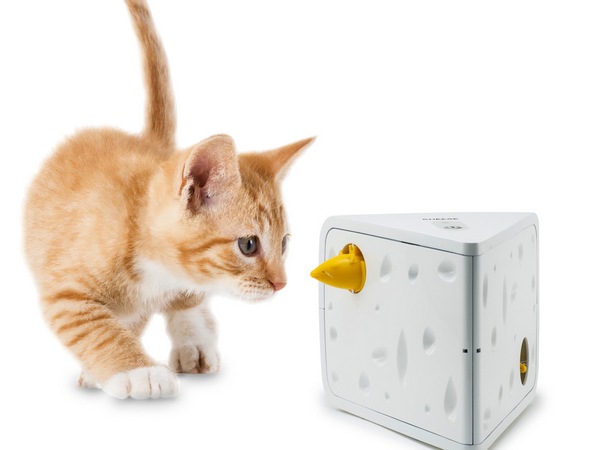 Преимущества интерактивных игрушек для котов