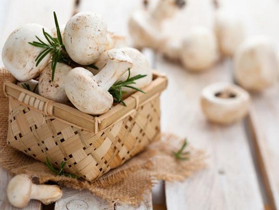 С какими продуктами сочетаются грибы?