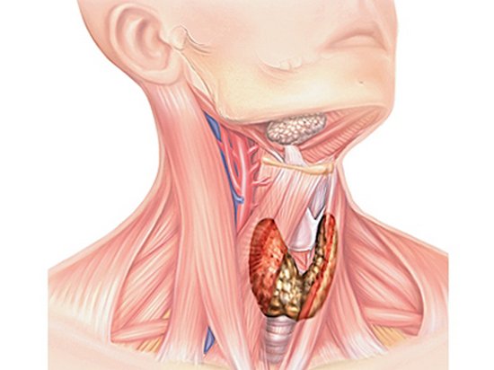 Лечение узлов щитовидной железы