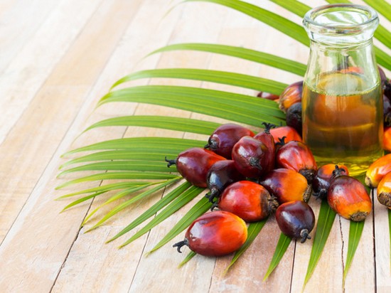 Эксперты оправдали пальмовое масло и отметили опасность диет