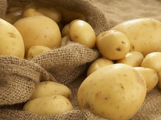 Картофель – целебные свойства и польза для здоровья