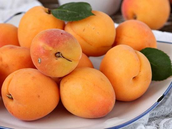 50 интересных фактов об очень полезных плодах – абрикосах