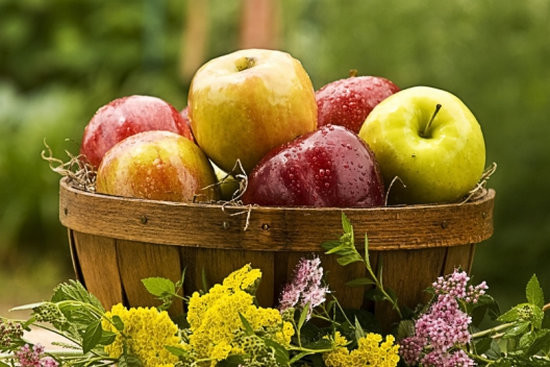 Яблоки: польза плода и правила выбора