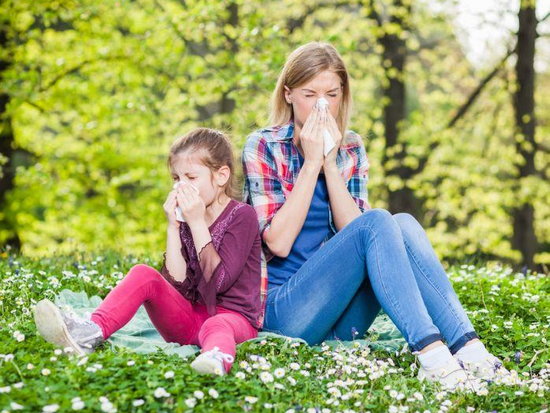 Сенная лихорадка. Что нужно знать родителям аллергика?