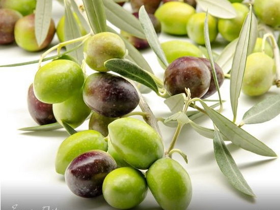Что полезнее: маслины или оливки?