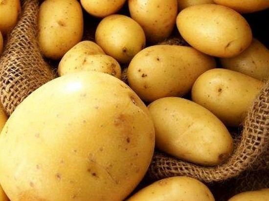 Вред картофеля