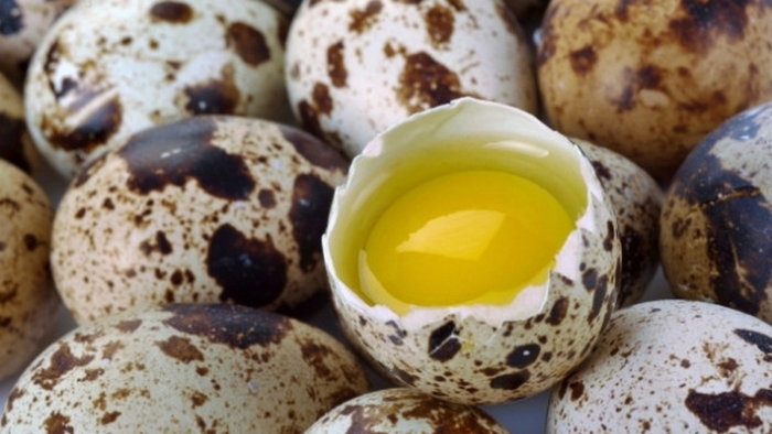 Перепелиные яйца: польза и вред