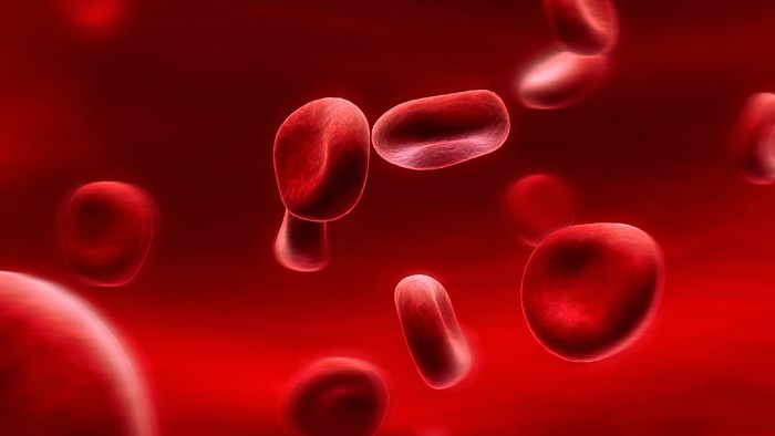 Почему у людей разные группы крови и на что это влияет