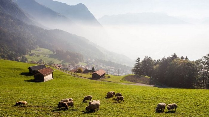 А что вы знаете о Лихтенштейне?