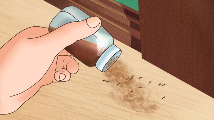 5 эффективных способов избавиться от насекомых в вашем доме