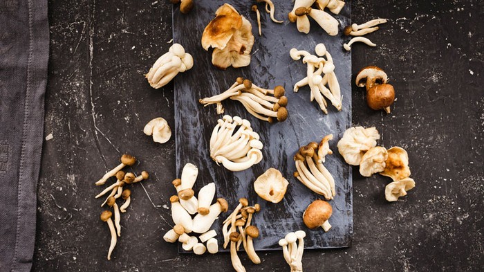 Блюда по сезону: что и из каких грибов готовить