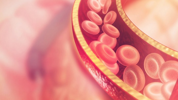 8 продуктов, которые разжижают кровь и предотвращают тромбоз