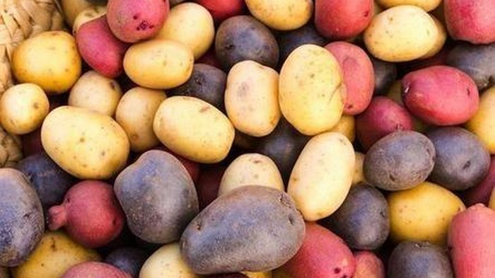 6 трюков, чтобы картофель пролежал до весны и не испортился