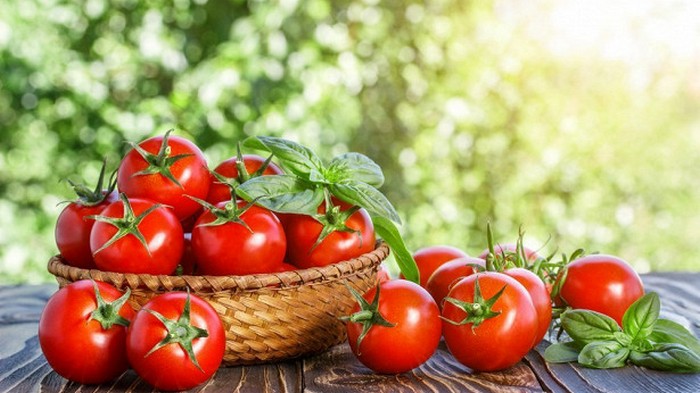 10 интересных фактов о Битве томатов