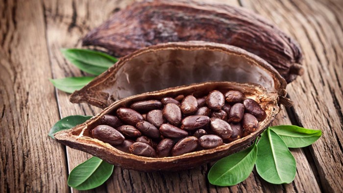 Флавонолы какао связывают с улучшением памяти у пожилых людей