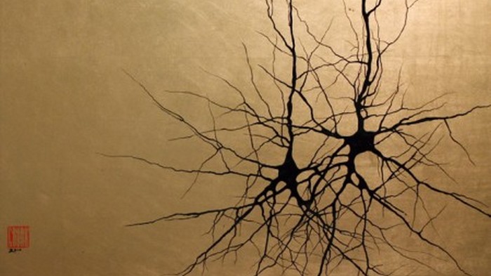 Причиной шизофрении может быть несогласованная активность нейронов