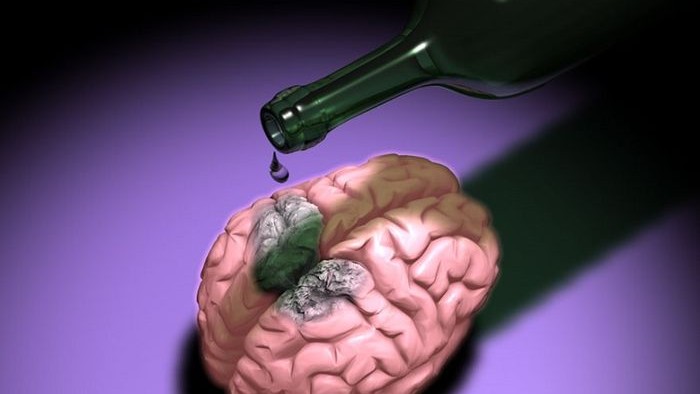 Разные дозы алкоголя действуют на разные области мозга
