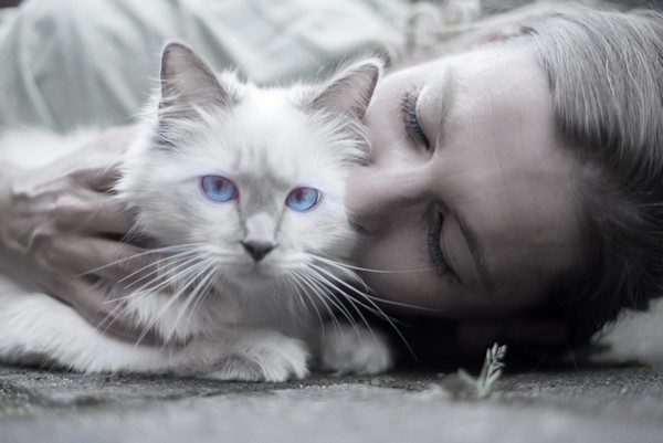 Как кошки влияют на здоровье своих хозяев
