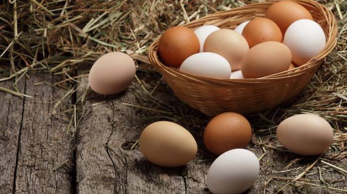 Как выбрать качественные куриные яйца в магазине и на рынке