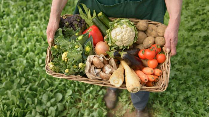 Натуральные фермерские продукты: в чём польза