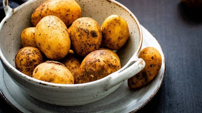 Как правильно варить картофель: разные способы приготовления