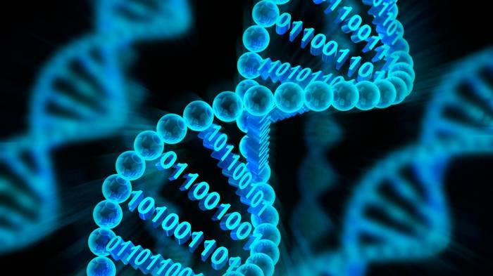 Когда возникает необходимость сделать тест ДНК?
