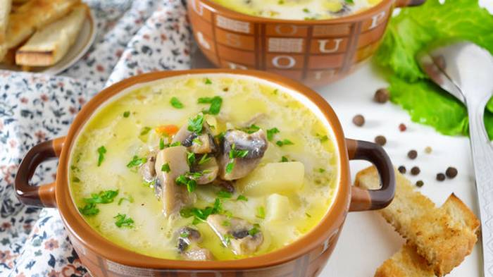 Рецепт сырного супа с грибами и мясным фаршем