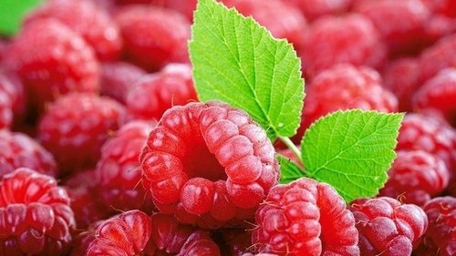 7 фруктов, которые помогают предотвратить рак