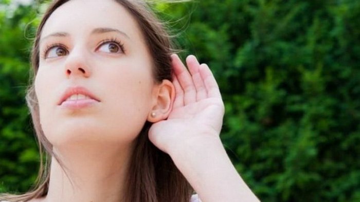 Натуральные средства для улучшения слуха