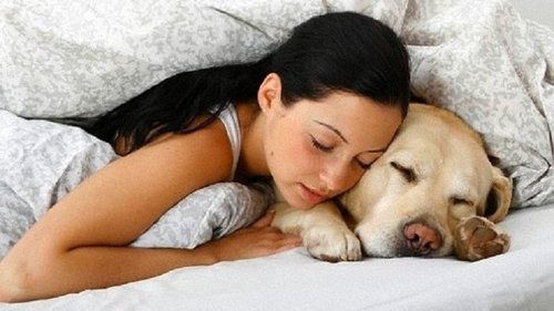 Семь неожиданных причин, чтобы взять собаку к себе в кровать