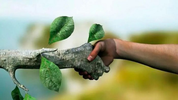 Зачем заботиться об окружающей среде