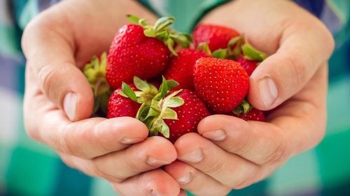 Для тех, кому надоело варенье: 5 способов сохранить ягоды совершенно по-новому