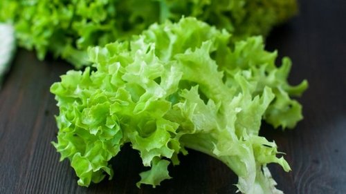 Чем полезен салат-латук