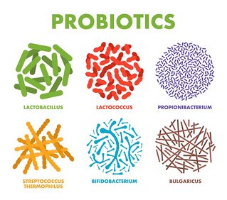 пробиотики
